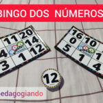 bingo dos números
