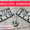 bingo dos números