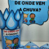 dia da água
